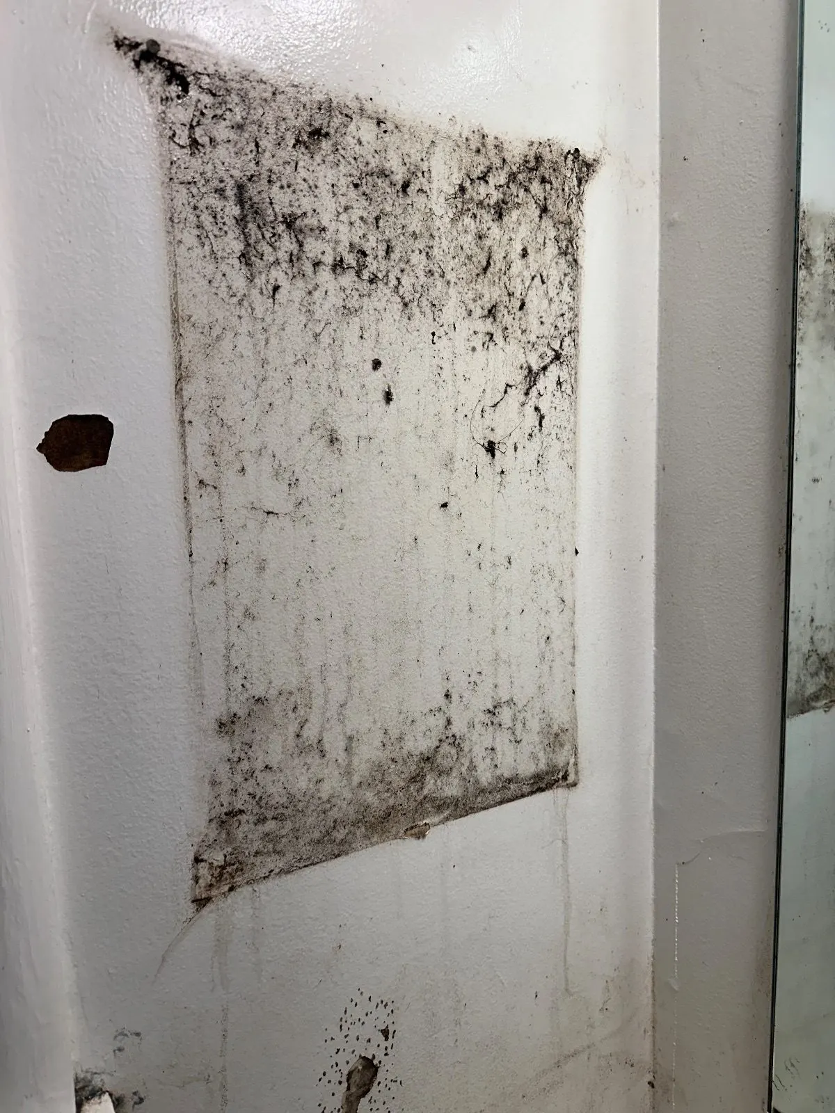 Before — House Cleaning in Sacramento, CA — August 2026