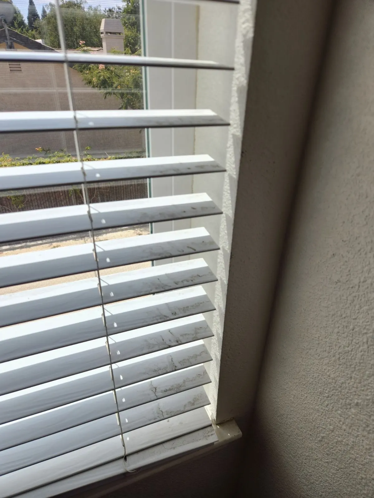 Before — House Cleaning in Fair Oaks, CA — August 2026