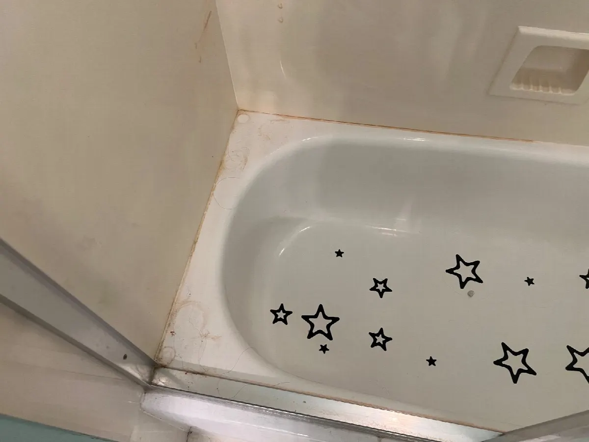 Before — House Cleaning in Davis, CA — August 2026