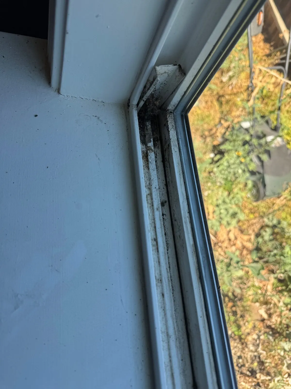 Before — House Cleaning in Davis, CA — August 2026