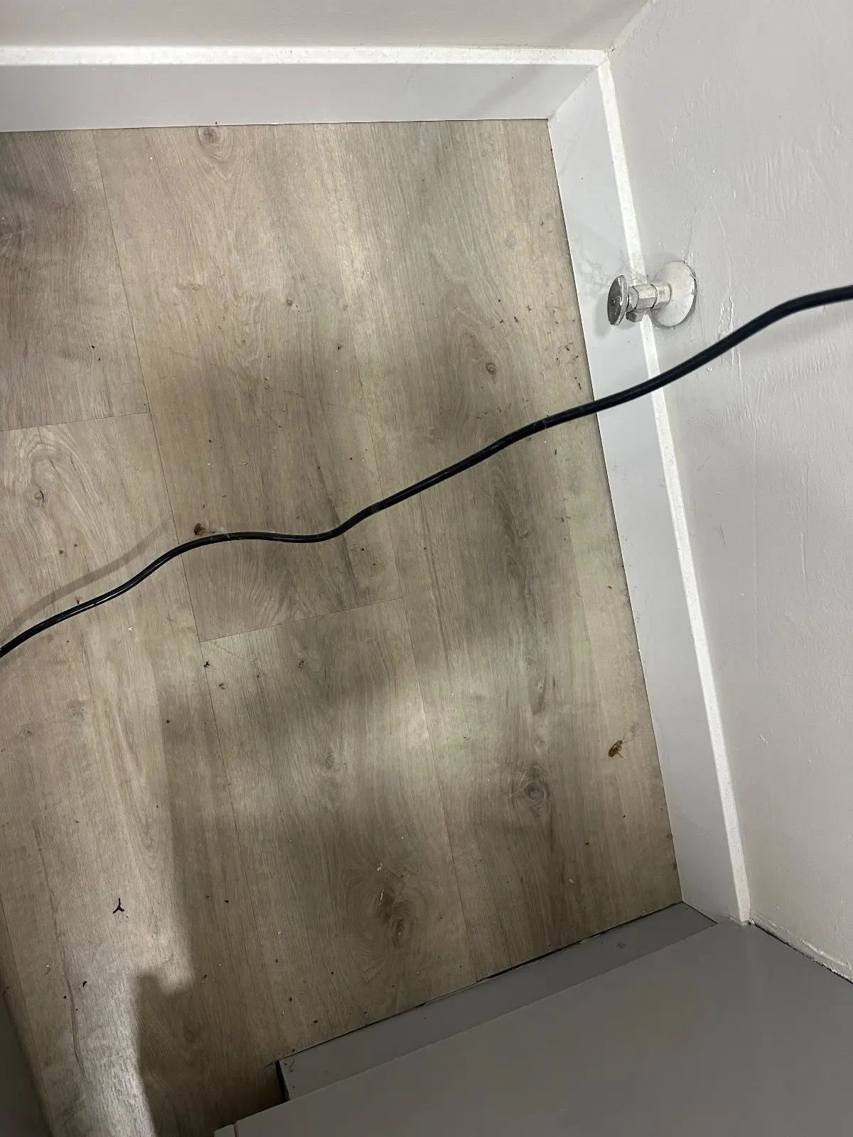Before — House Cleaning in Davis, CA — August 2026