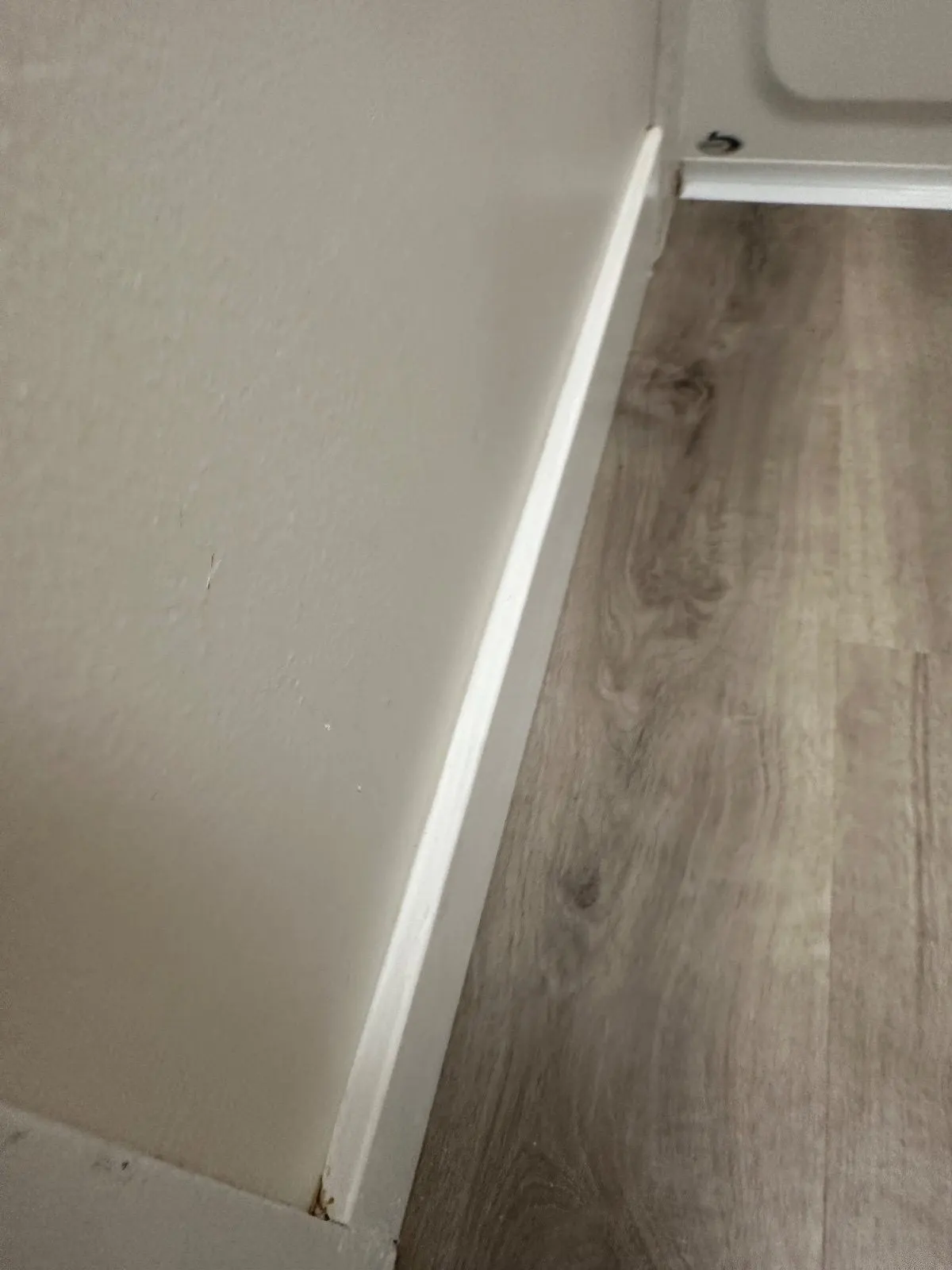 After — House Cleaning in Davis, CA — August 2026