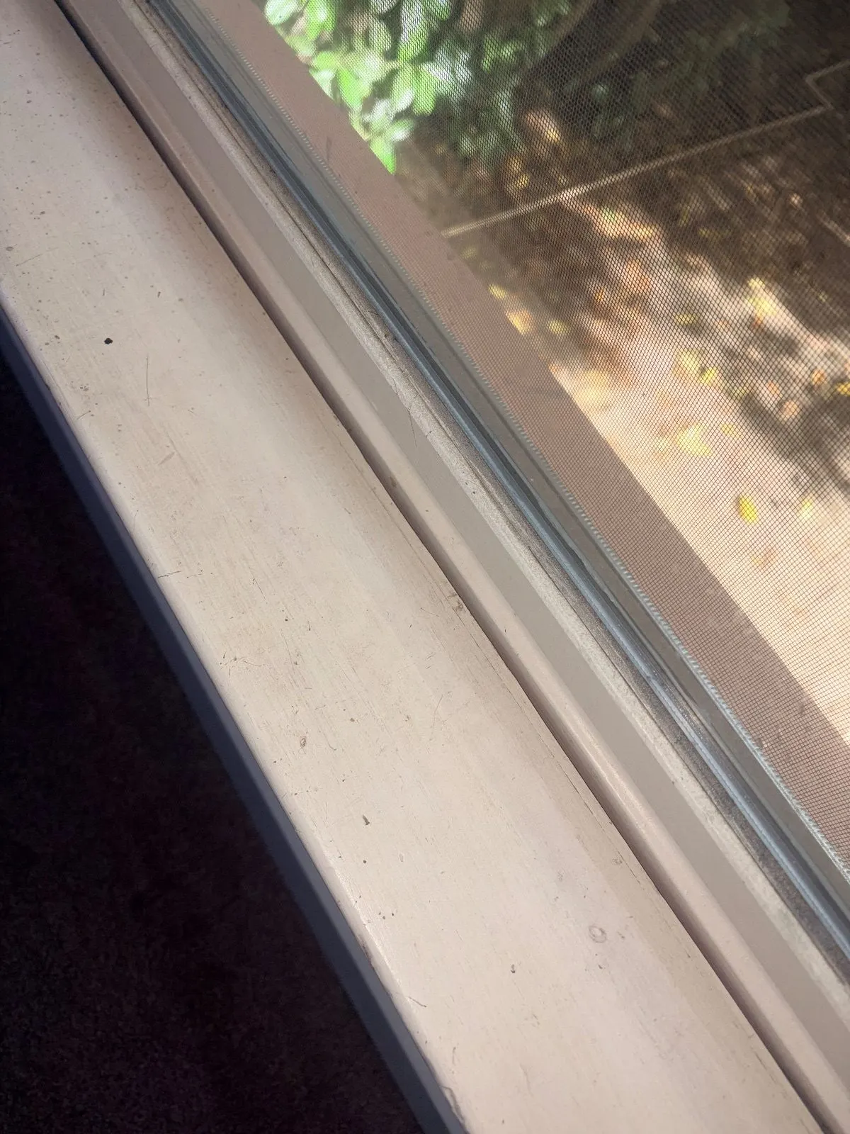 Before — House Cleaning in Sacramento, CA — August 2026
