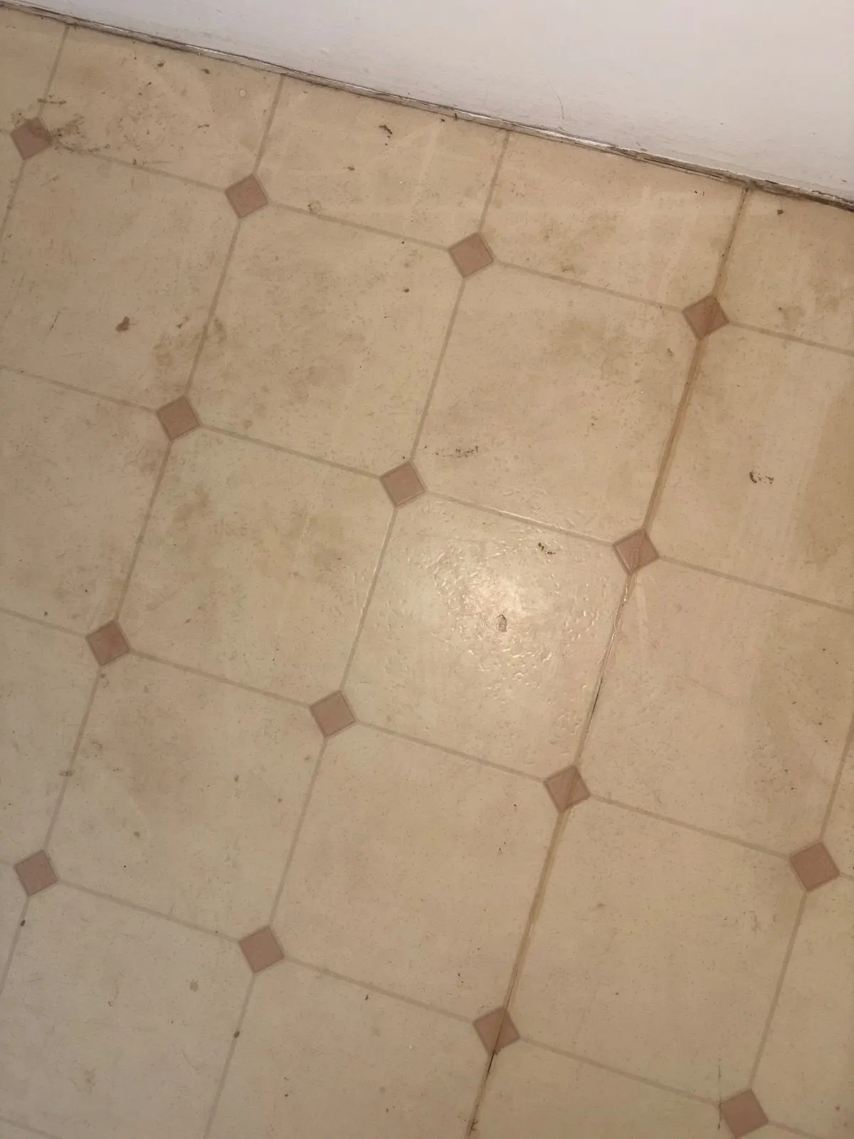 Before — House Cleaning in Sacramento, CA — August 2026