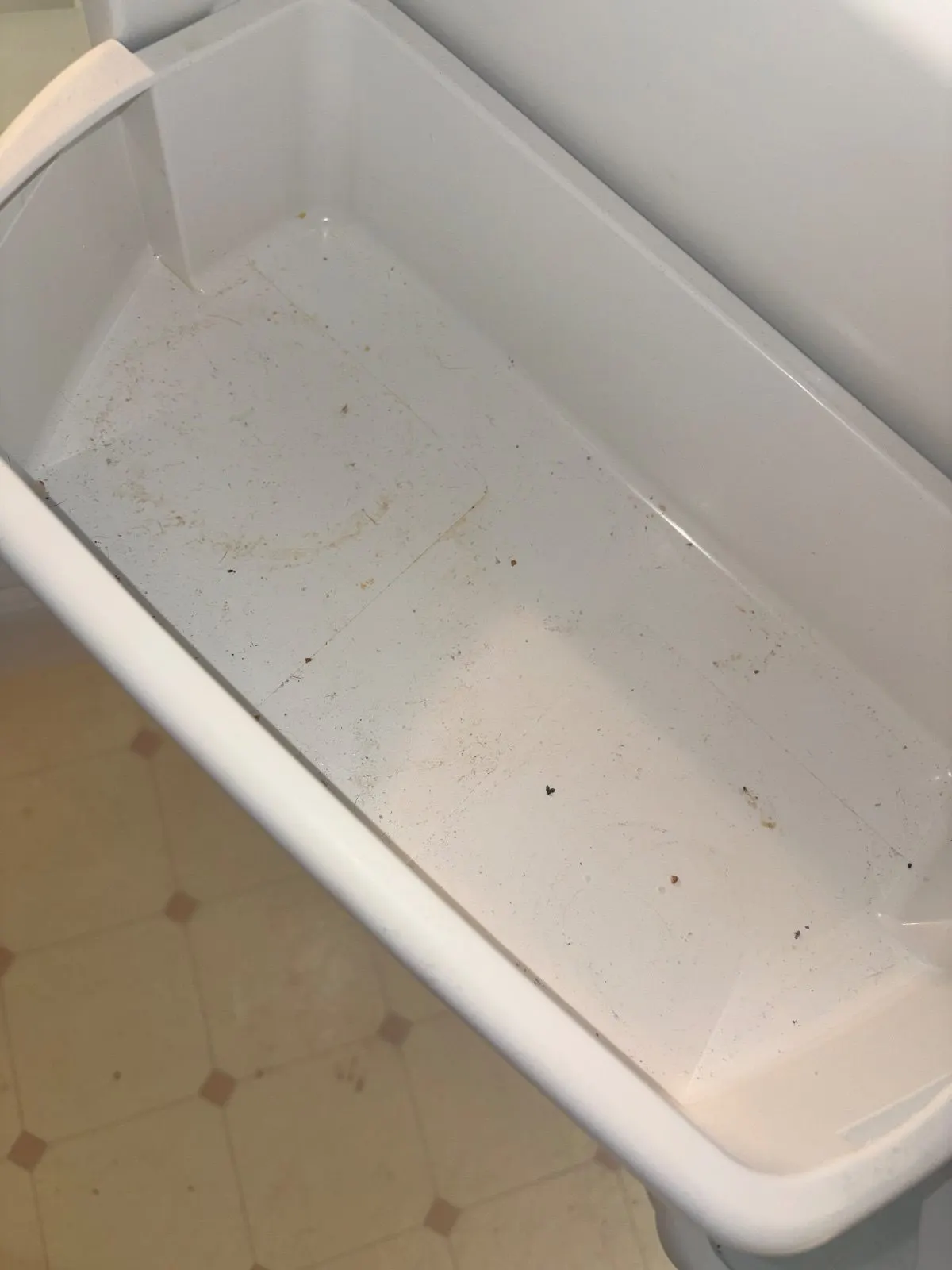 Before — House Cleaning in Sacramento, CA — August 2026