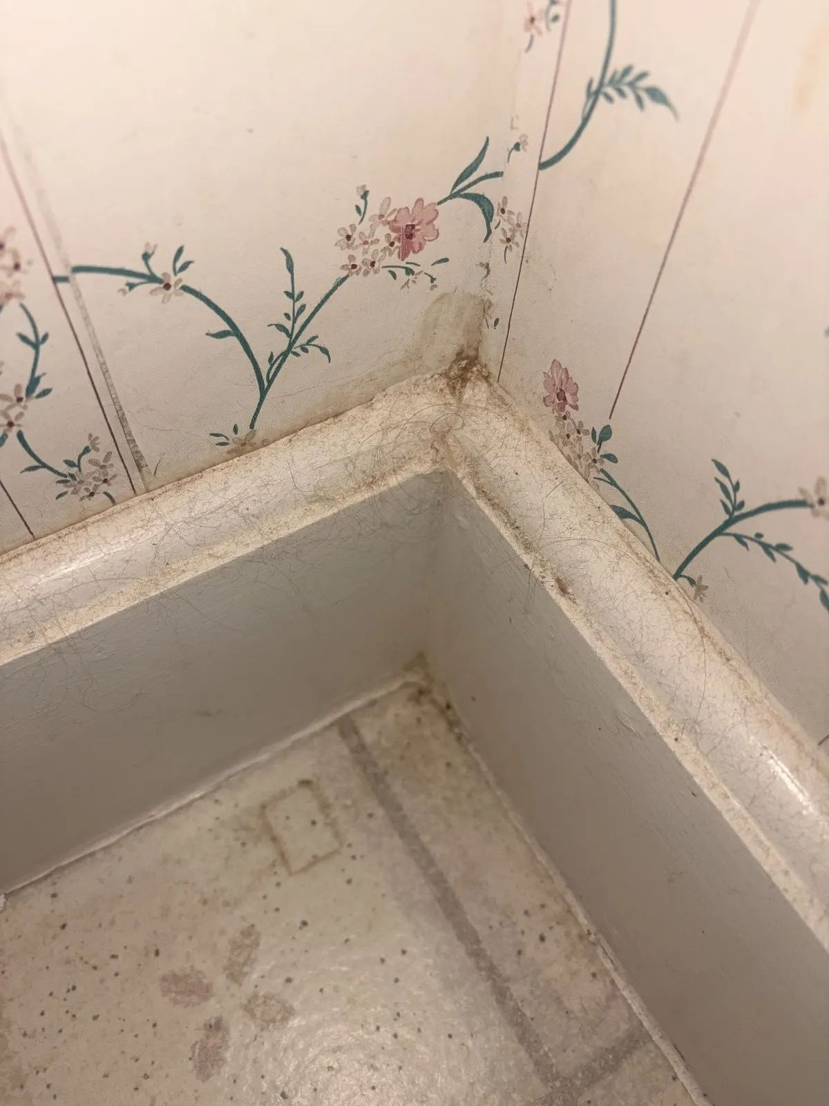 Before — House Cleaning in Sacramento, CA — August 2026