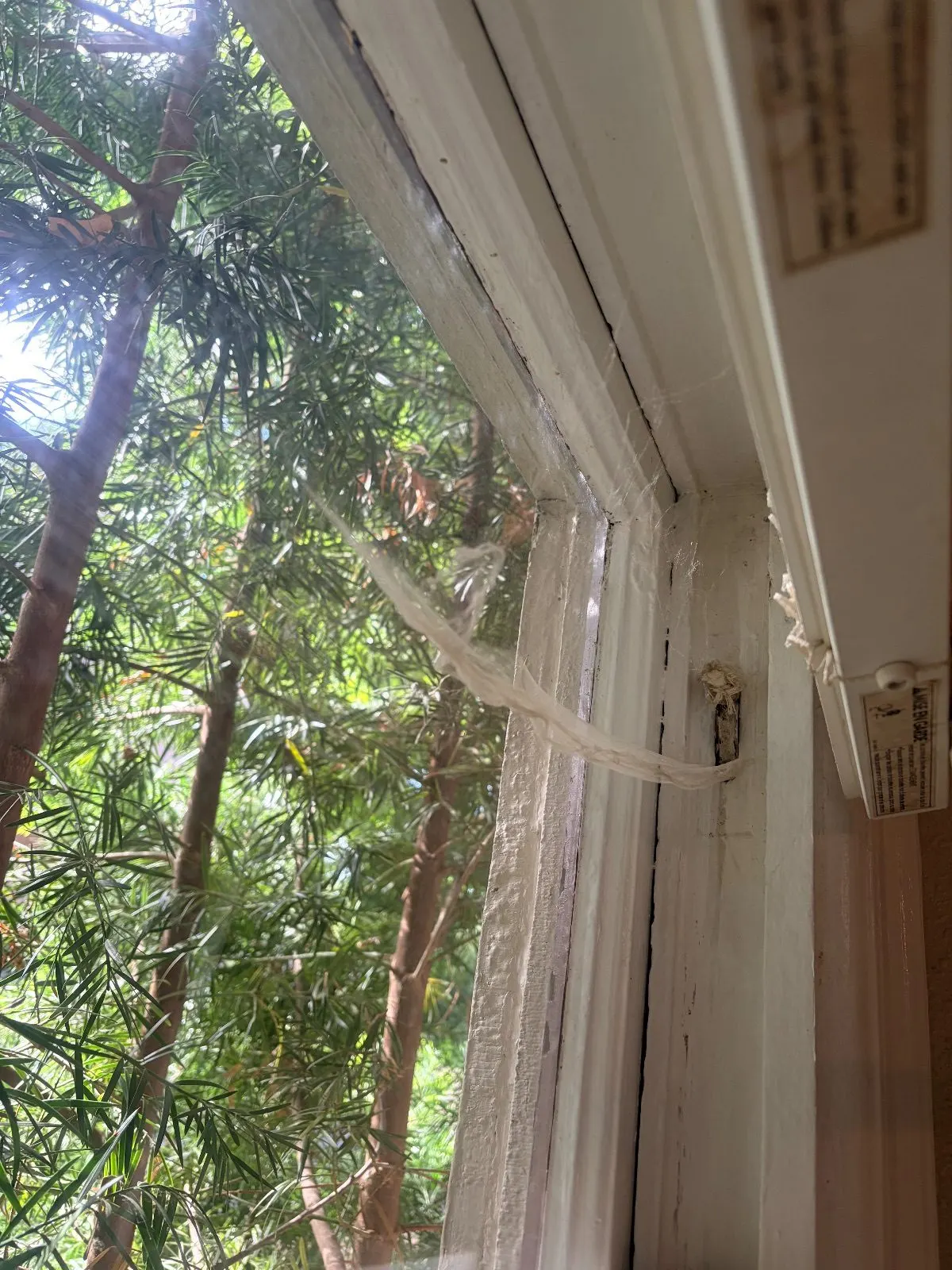 Before — House Cleaning in Sacramento, CA — August 2026
