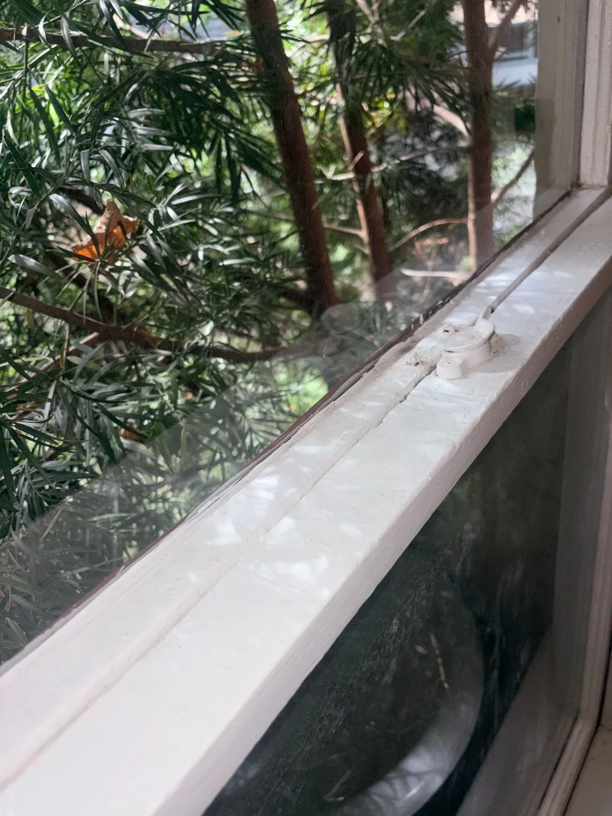 After — House Cleaning in Sacramento, CA — August 2026