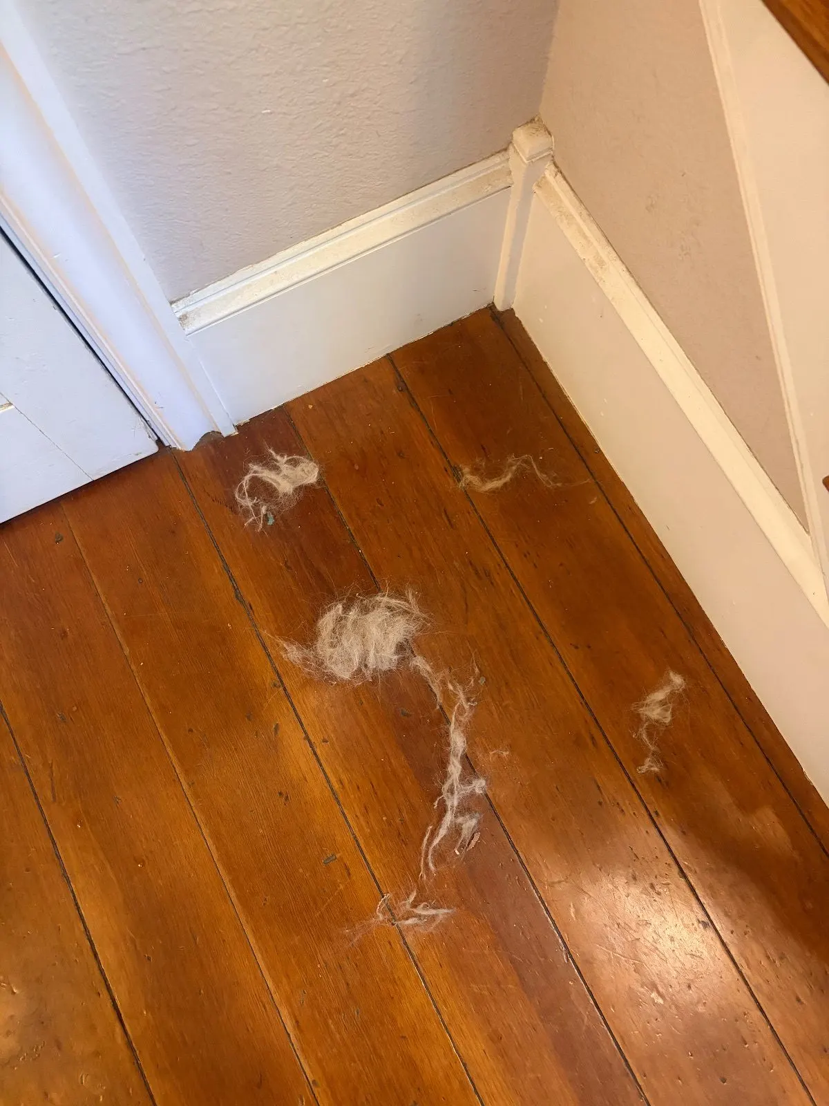 Before — House Cleaning in Sacramento, CA — August 2026