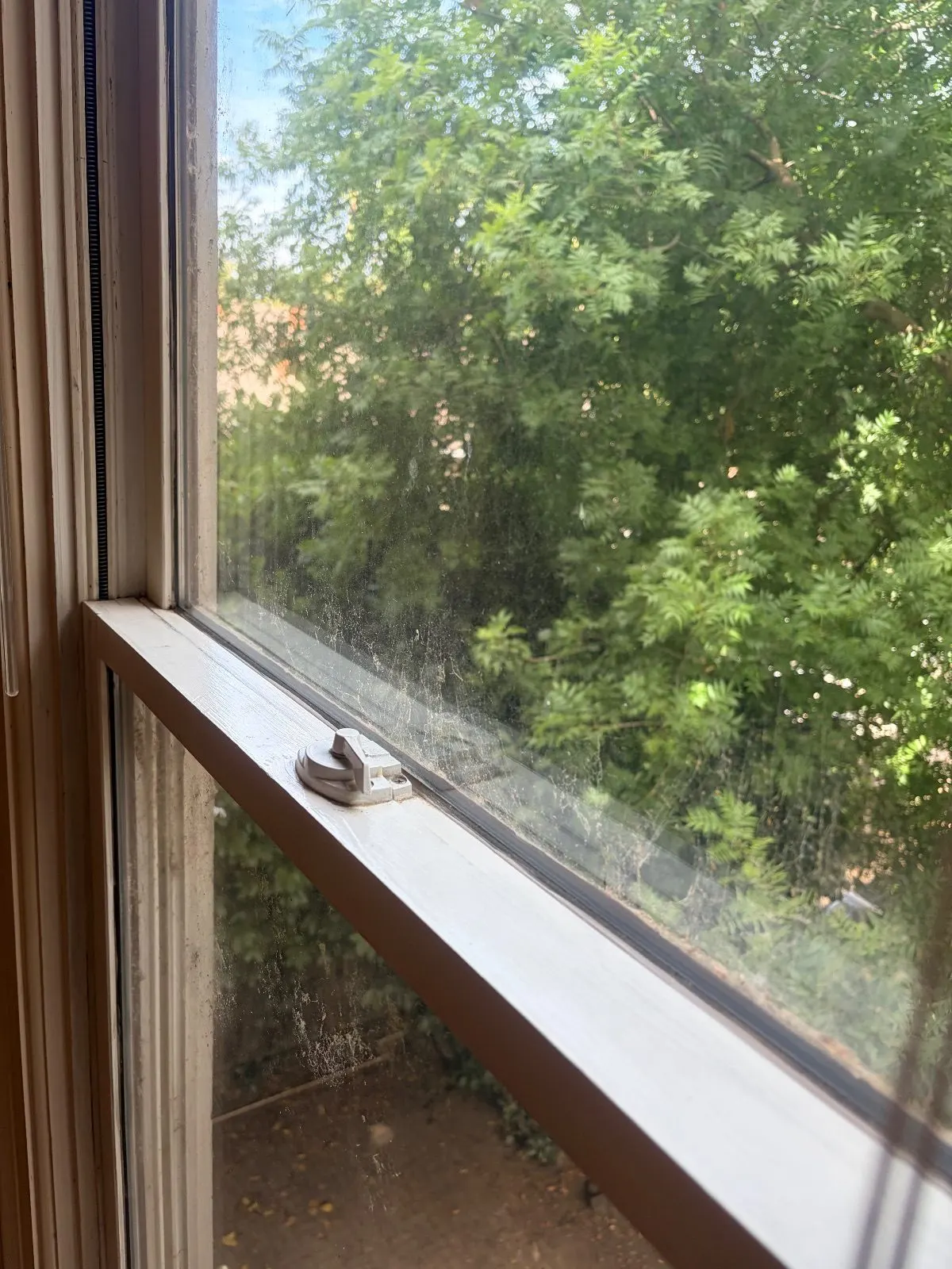 After — House Cleaning in Sacramento, CA — August 2026