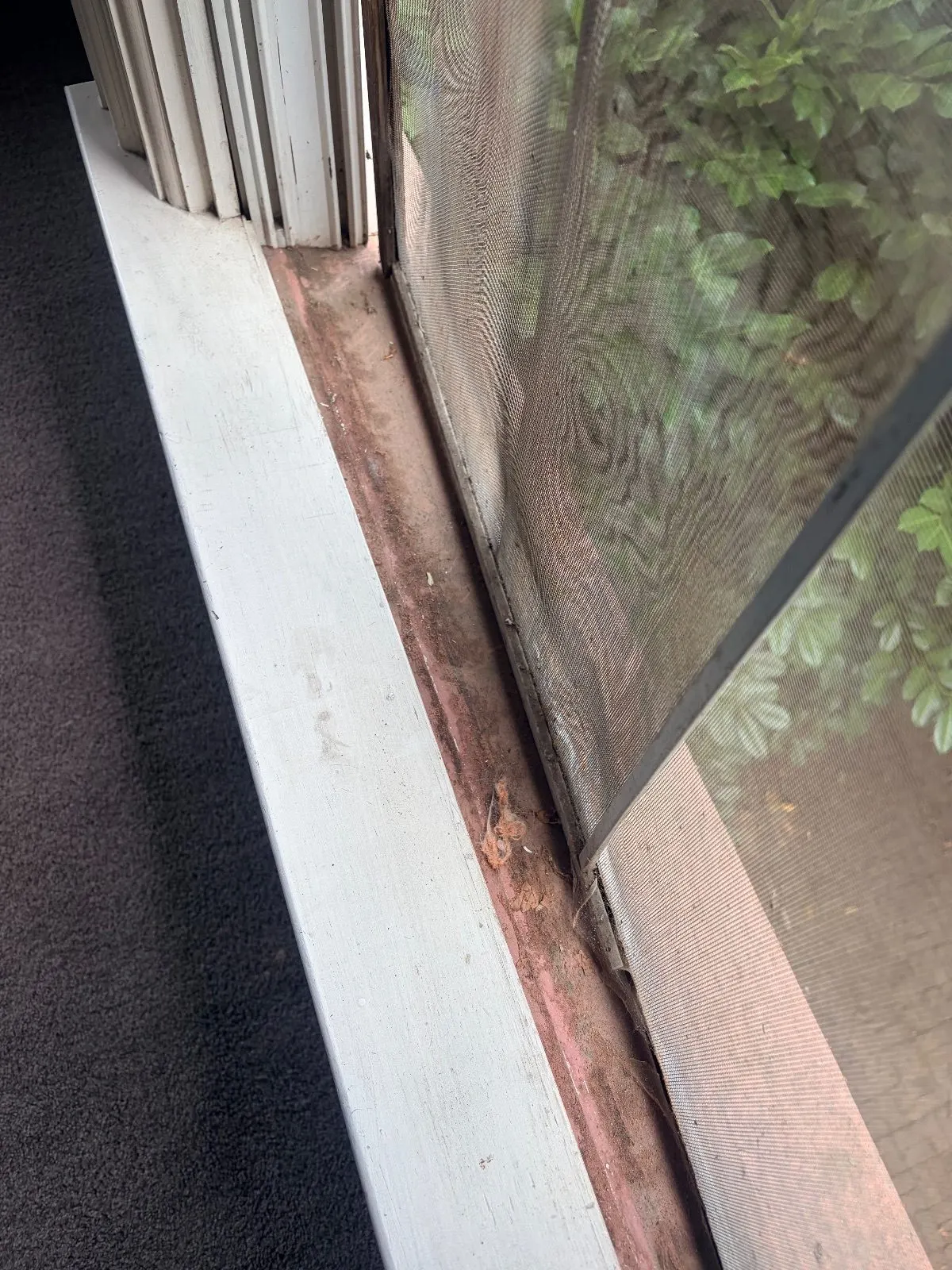 After — House Cleaning in Sacramento, CA — August 2026