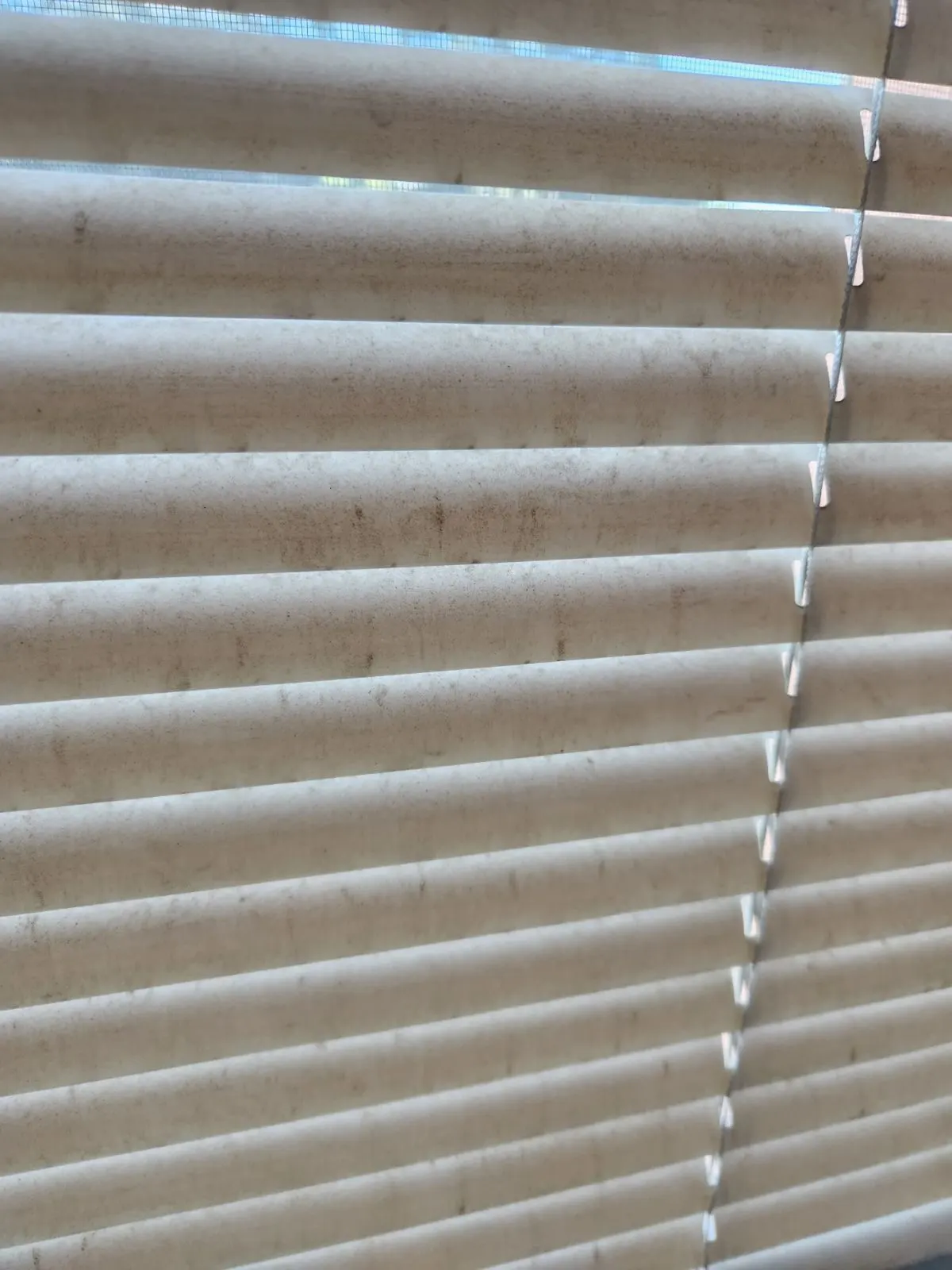 Before — House Cleaning in Davis, CA — August 2026