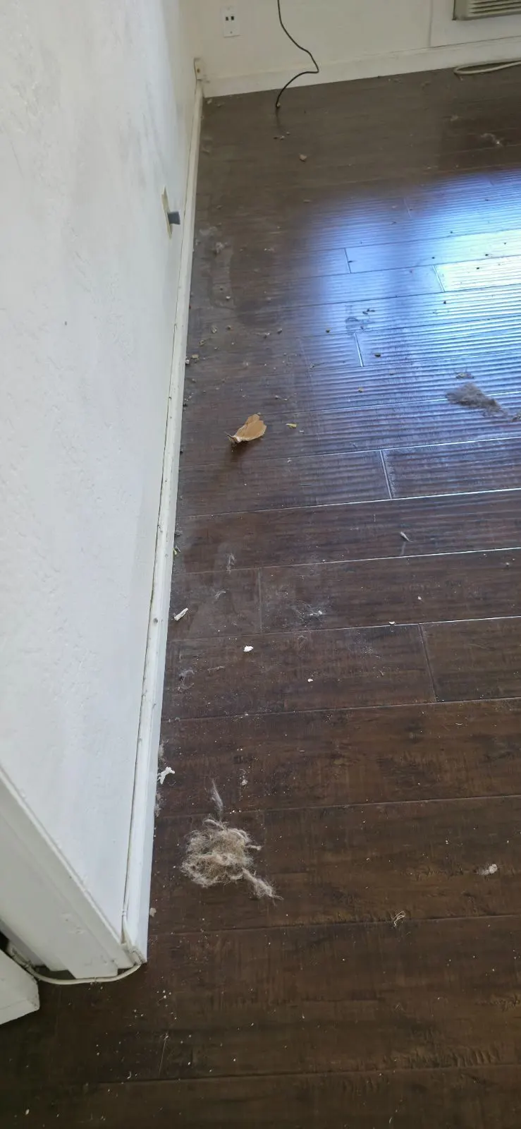 Before — House Cleaning in Sacramento, CA — August 2026