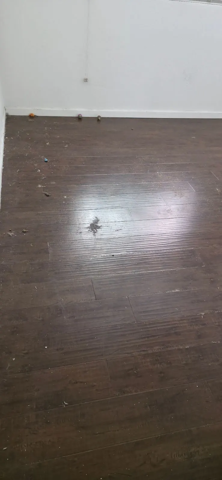 Before — House Cleaning in Sacramento, CA — August 2026