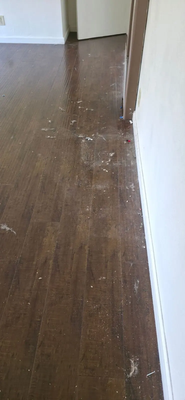 Before — House Cleaning in Sacramento, CA — August 2026