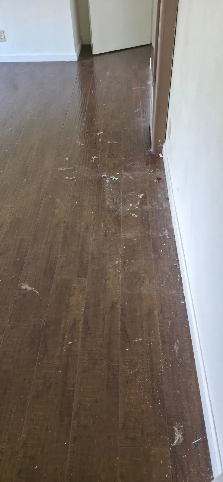 Before — House Cleaning in Sacramento, CA — August 2026