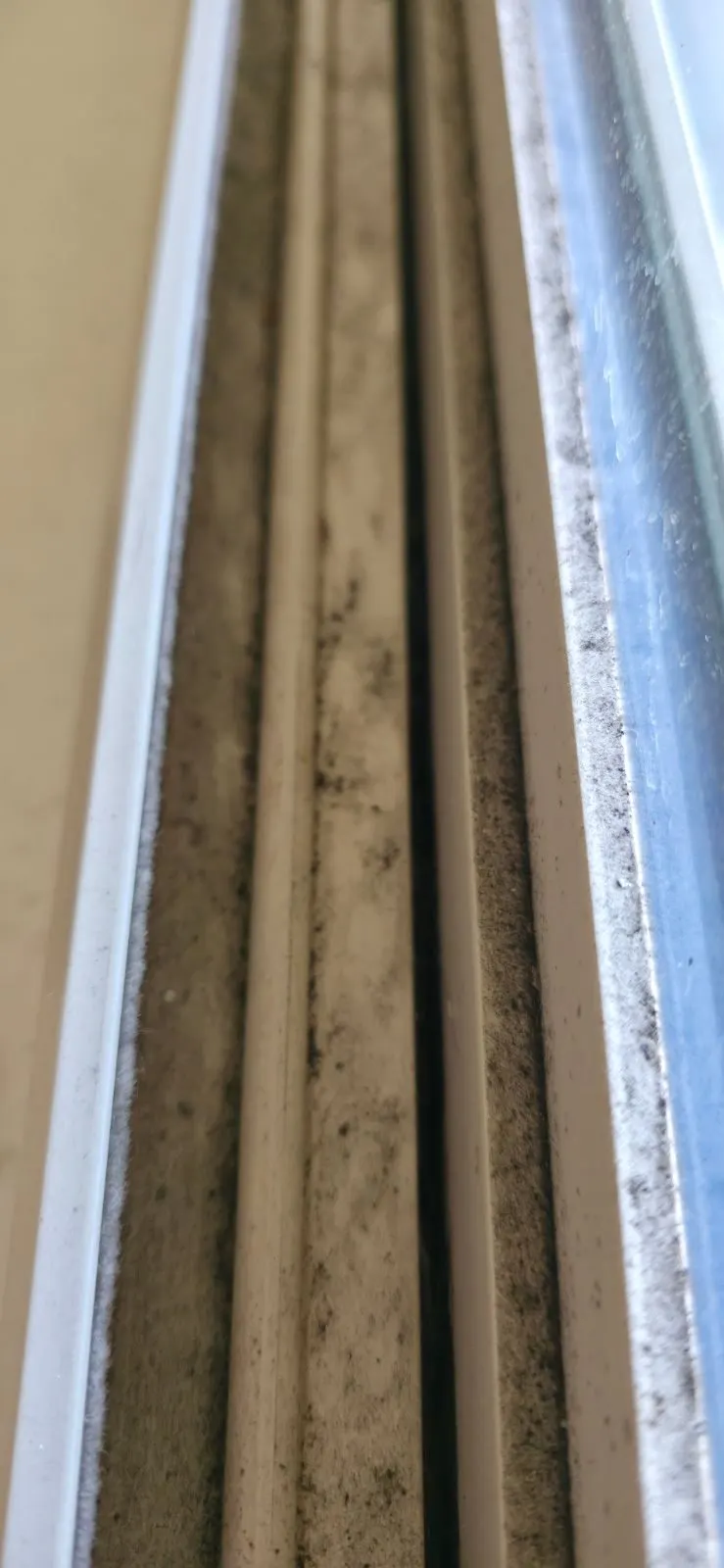 Before — House Cleaning in Sacramento, CA — August 2026