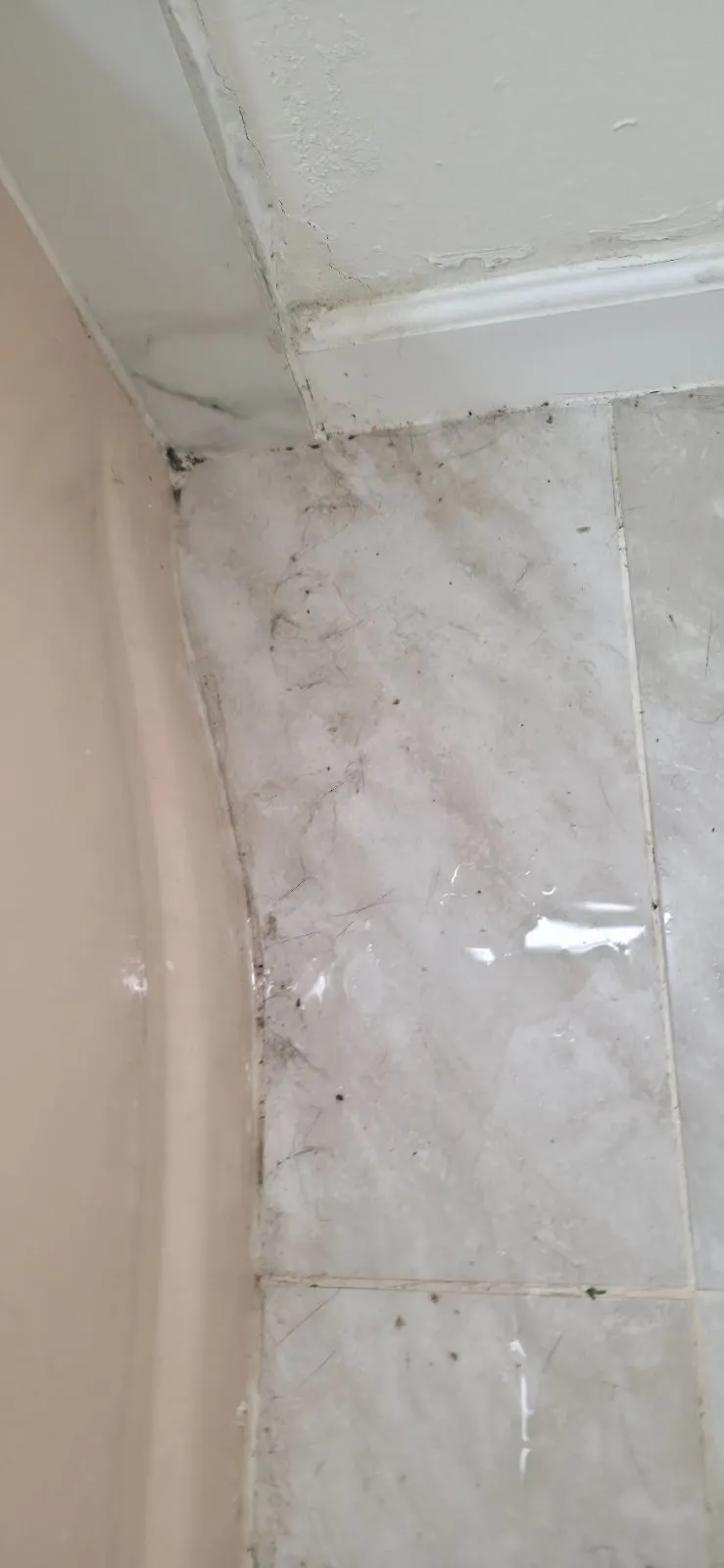 After — House Cleaning in Sacramento, CA — August 2026