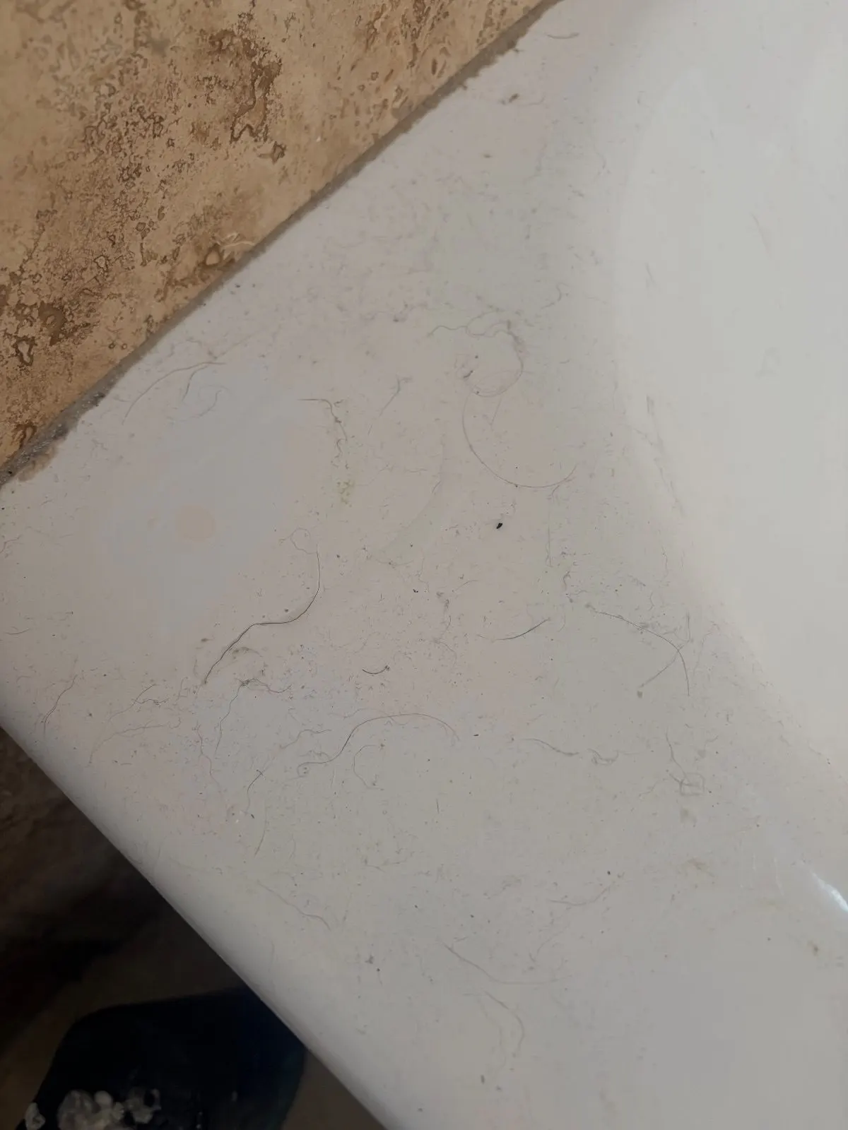 Before — House Cleaning in Sacramento, CA — August 2026