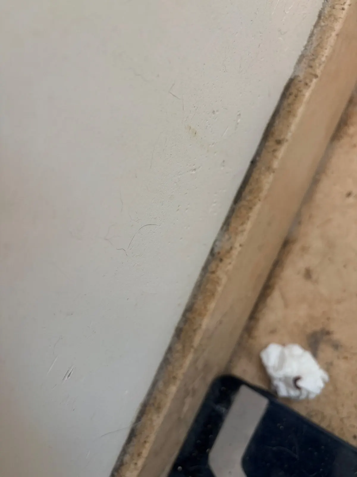 Before — House Cleaning in Sacramento, CA — August 2026