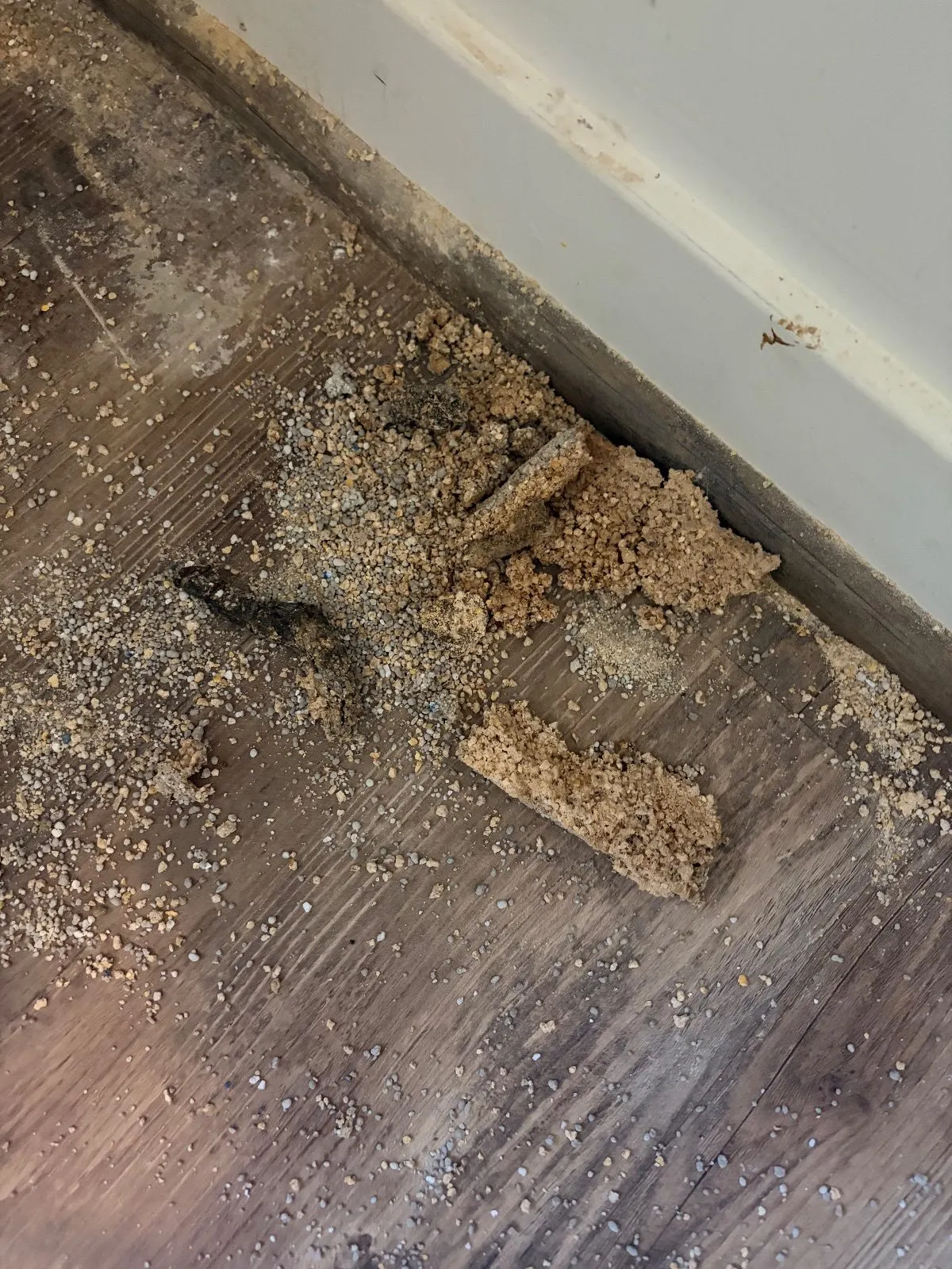 Before — House Cleaning in Sacramento, CA — August 2026