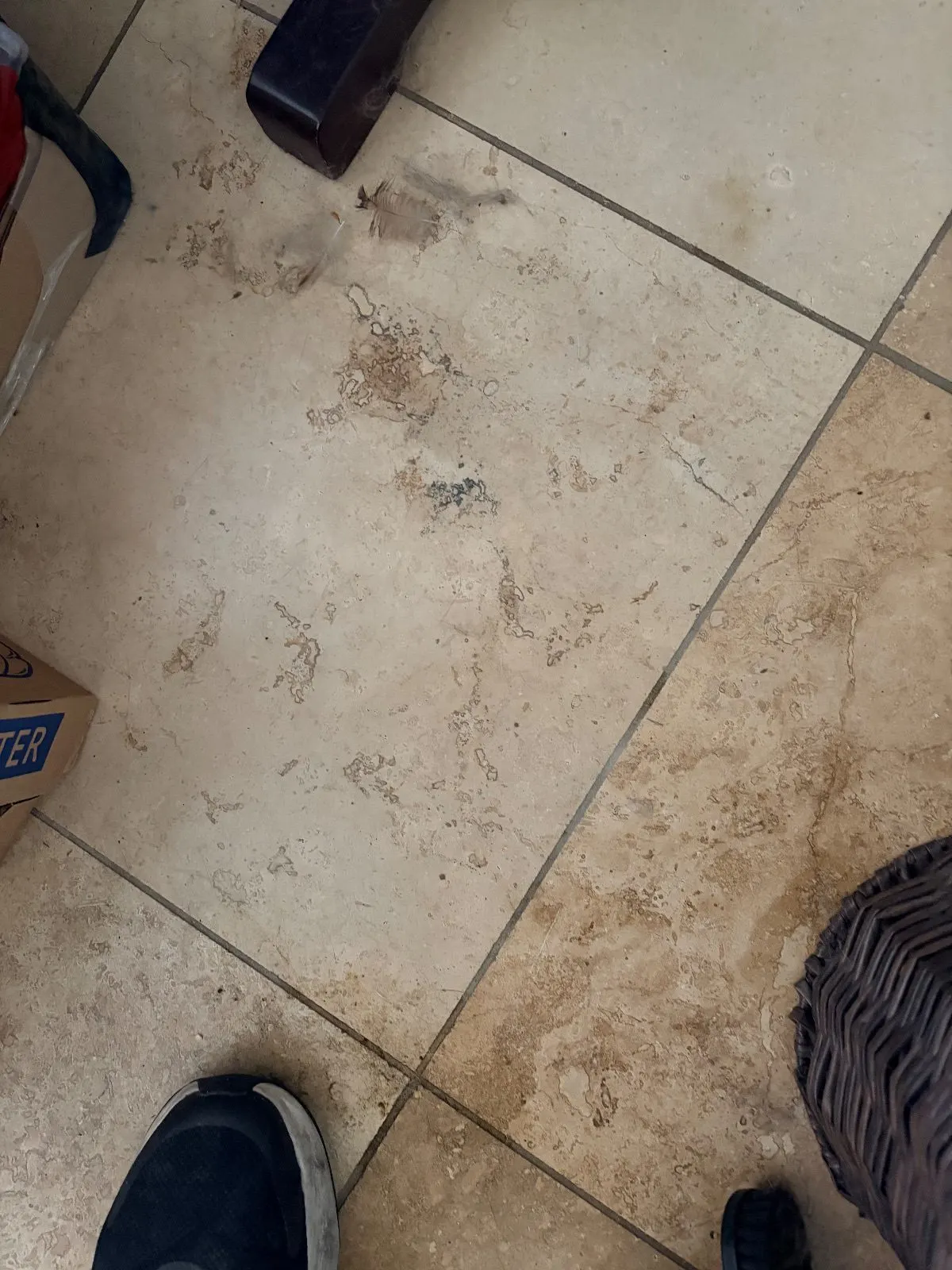 Before — House Cleaning in Sacramento, CA — August 2026