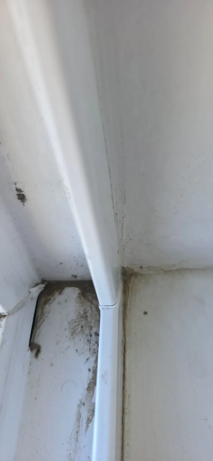 Before — House Cleaning in Sacramento, CA — August 2026