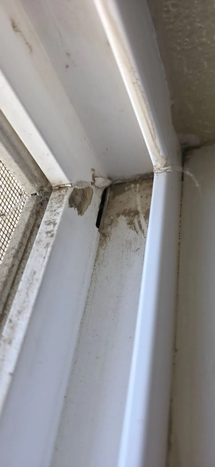 Before — House Cleaning in Sacramento, CA — August 2026