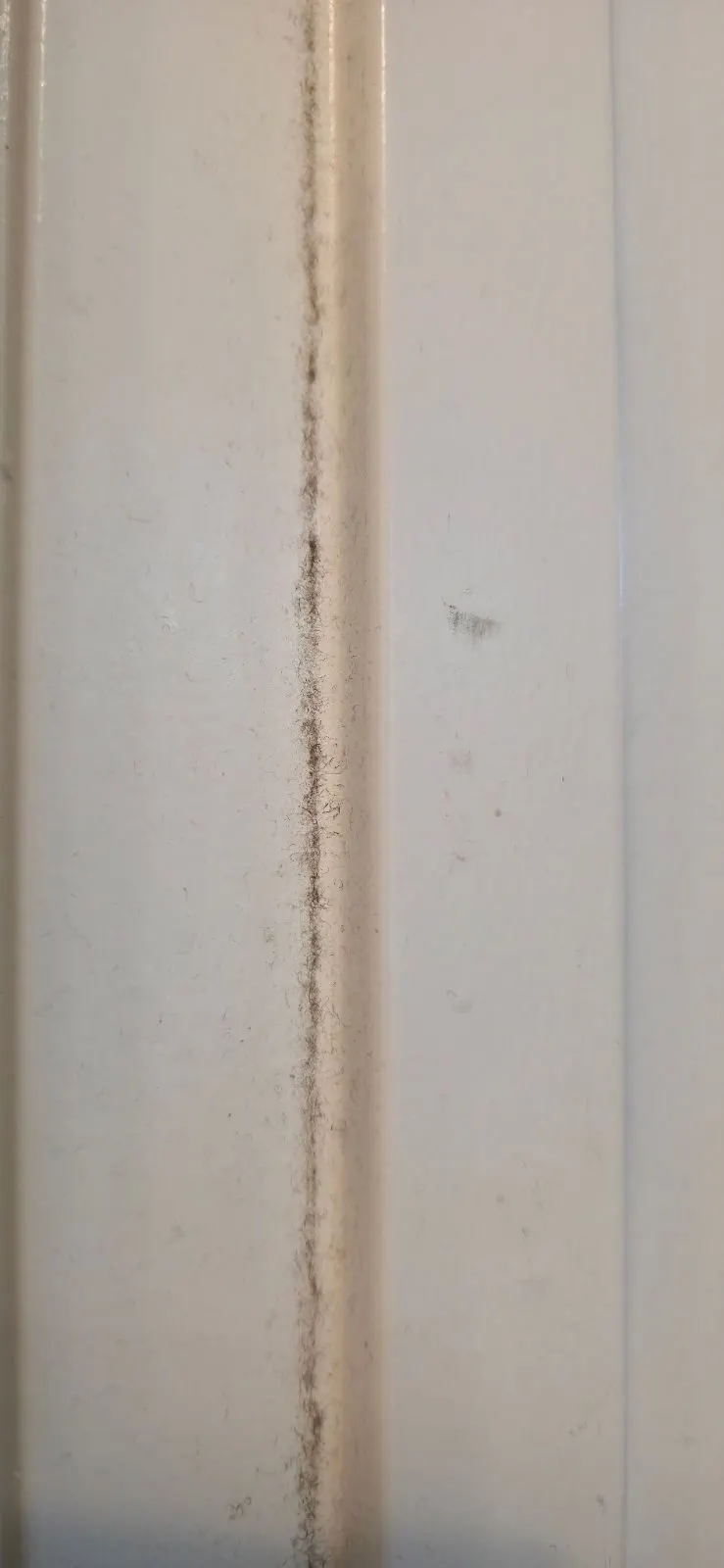 Before — House Cleaning in Sacramento, CA — August 2026