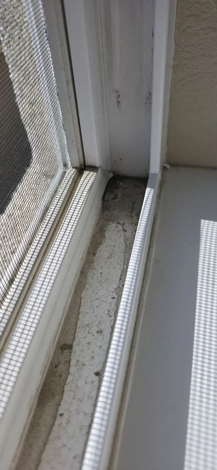 Before — House Cleaning in Sacramento, CA — August 2026