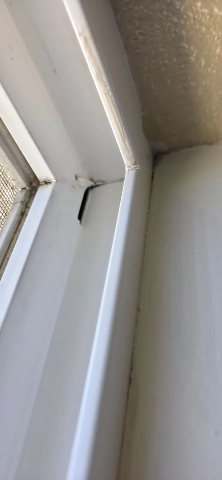 After — House Cleaning in Sacramento, CA — August 2026