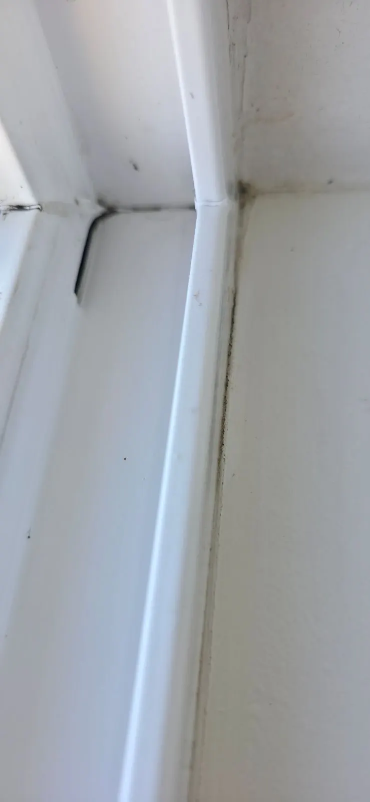 After — House Cleaning in Sacramento, CA — August 2026