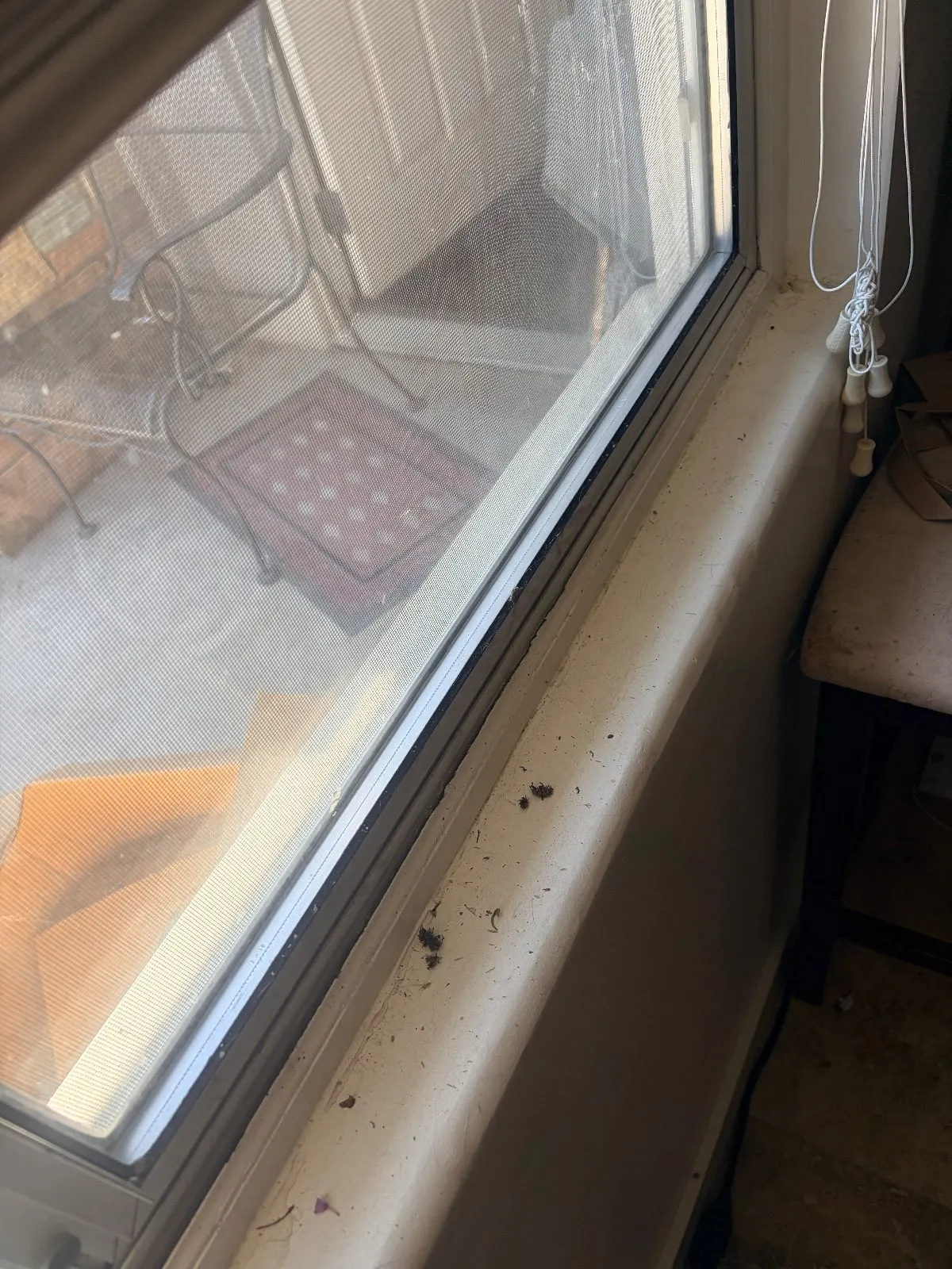 Before — House Cleaning in Sacramento, CA — August 2026