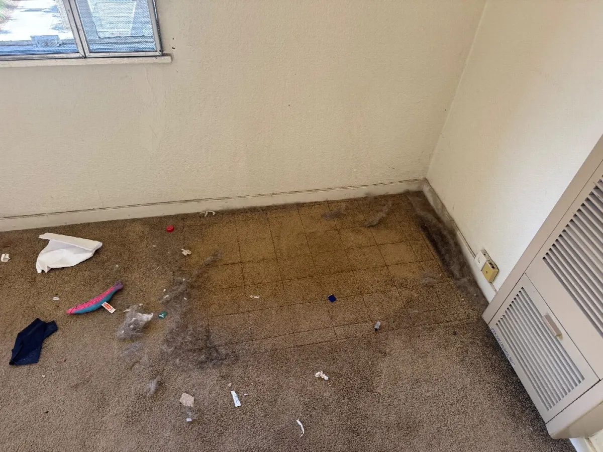 Before — House Cleaning in Sacramento, CA — August 2026