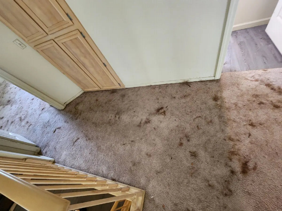Before — House Cleaning in Sacramento, CA — August 2026