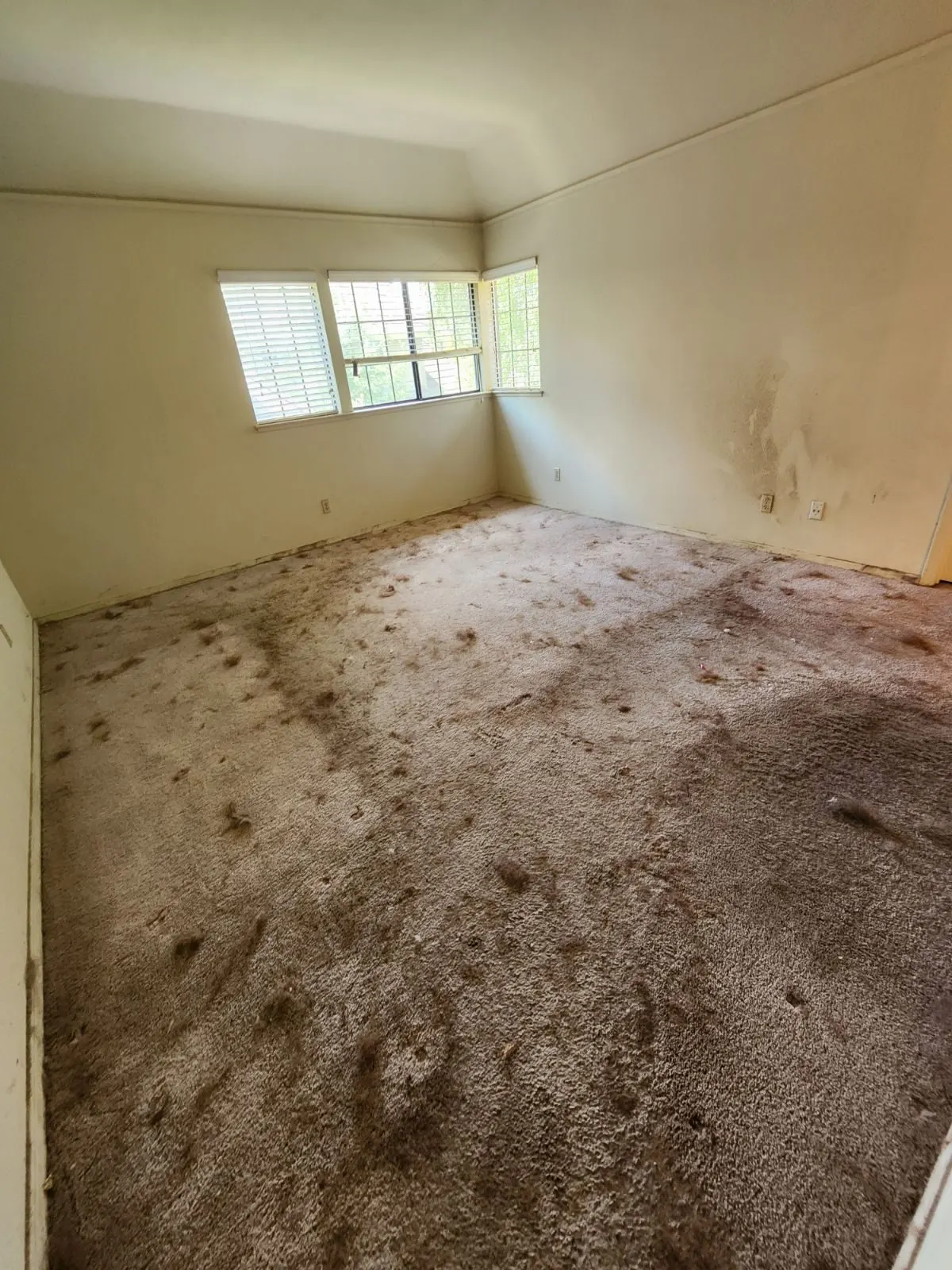 Before — House Cleaning in Sacramento, CA — August 2026