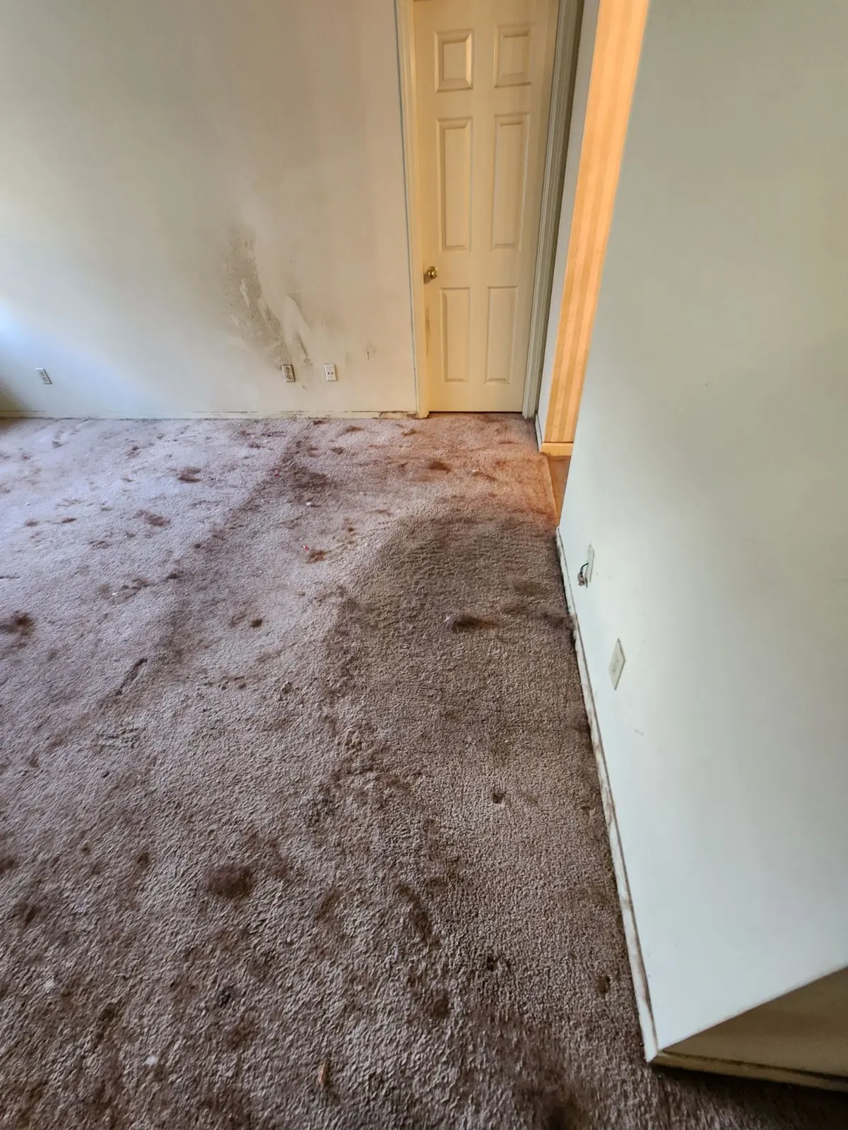 Before — House Cleaning in Sacramento, CA — August 2026