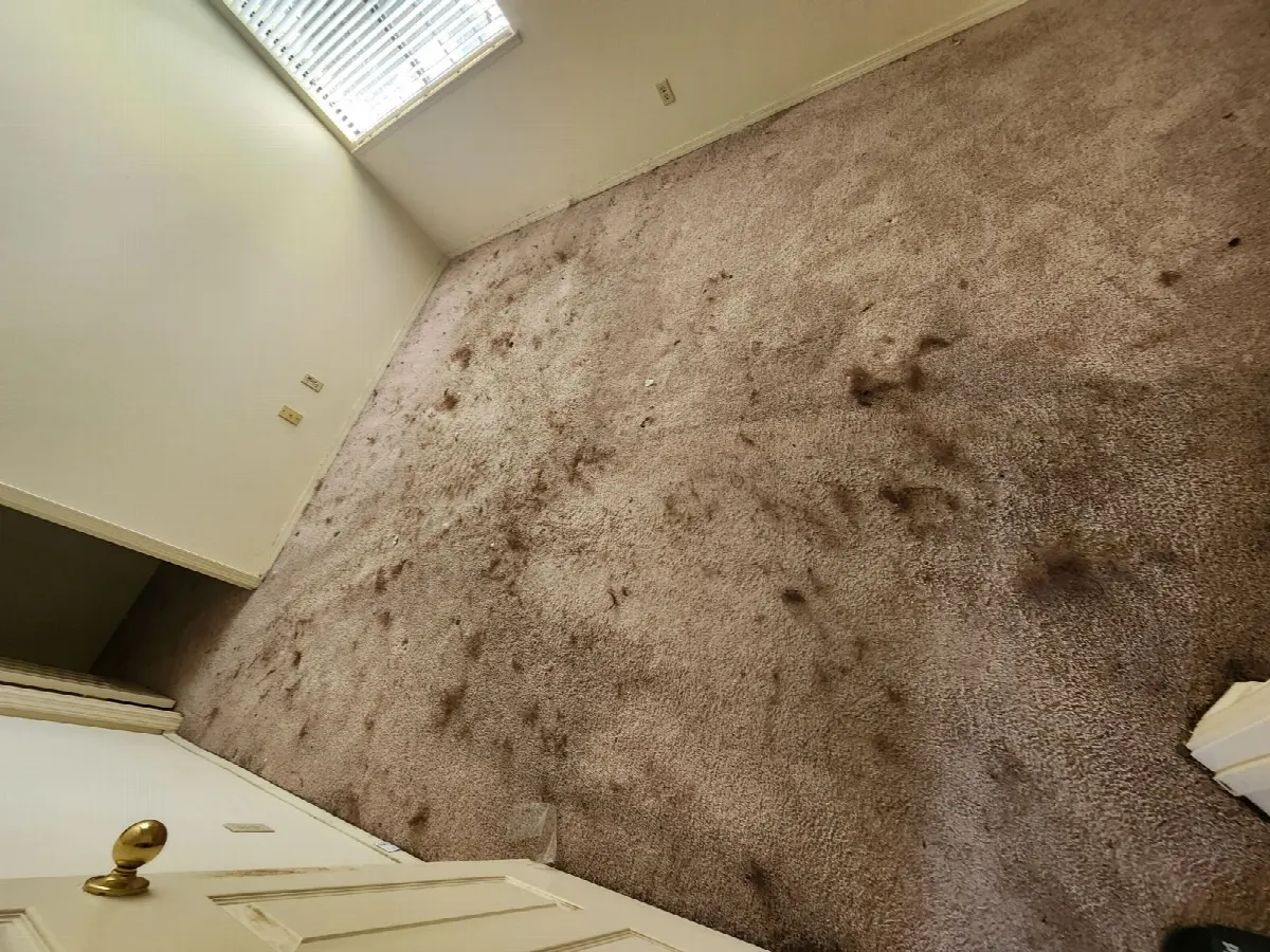 Before — House Cleaning in Sacramento, CA — August 2026