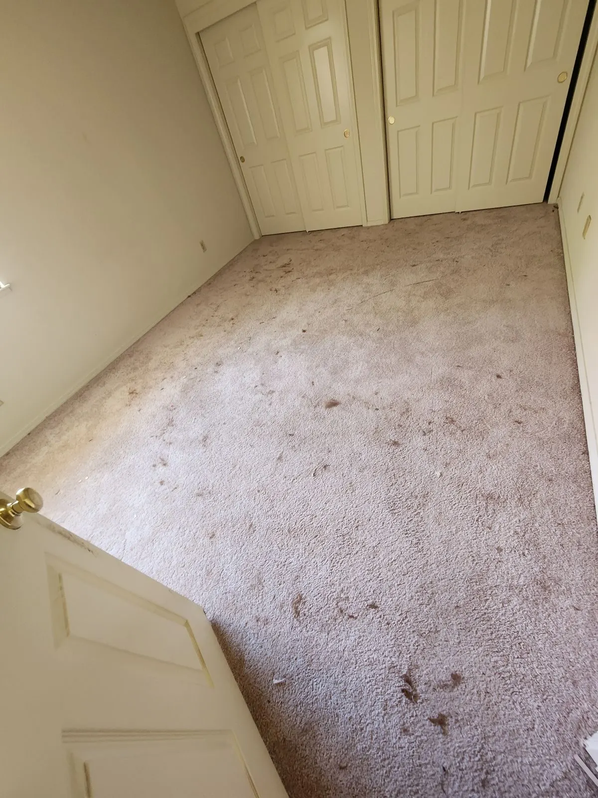 Before — House Cleaning in Sacramento, CA — August 2026