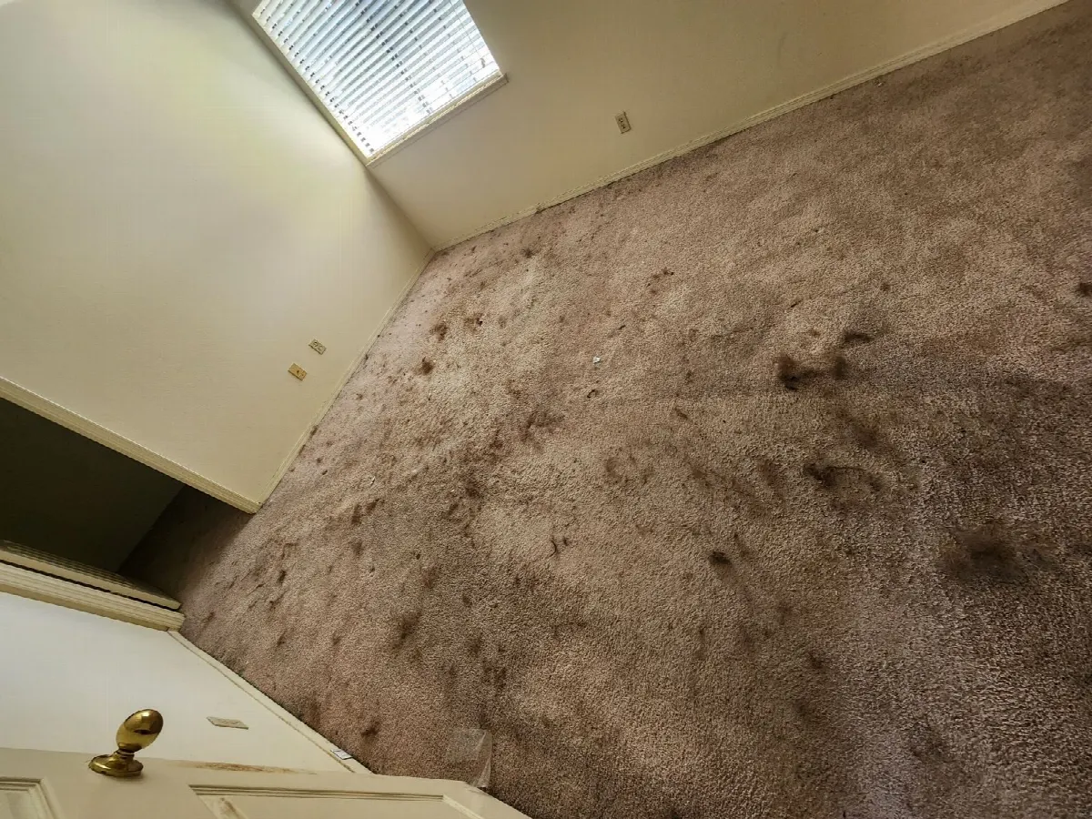 Before — House Cleaning in Sacramento, CA — August 2026