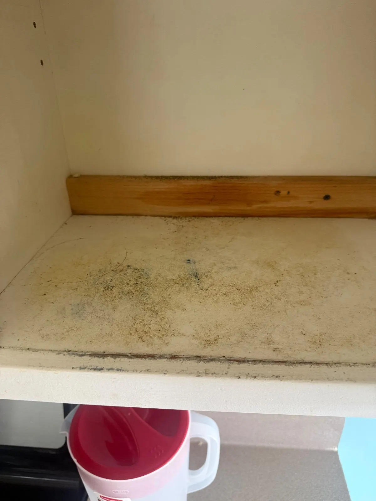 Before — House Cleaning in Sacramento, CA — August 2026