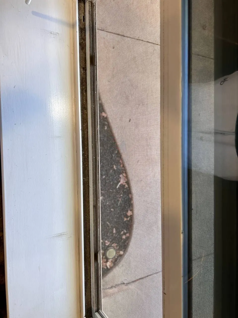Before — House Cleaning in Sacramento, CA — August 2026