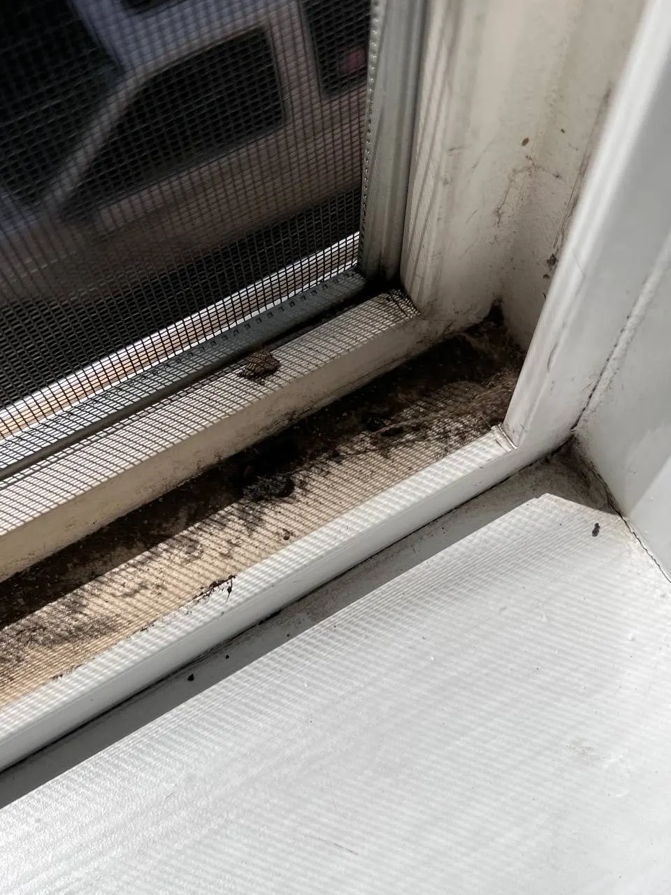 Before — House Cleaning in Sacramento, CA — August 2026