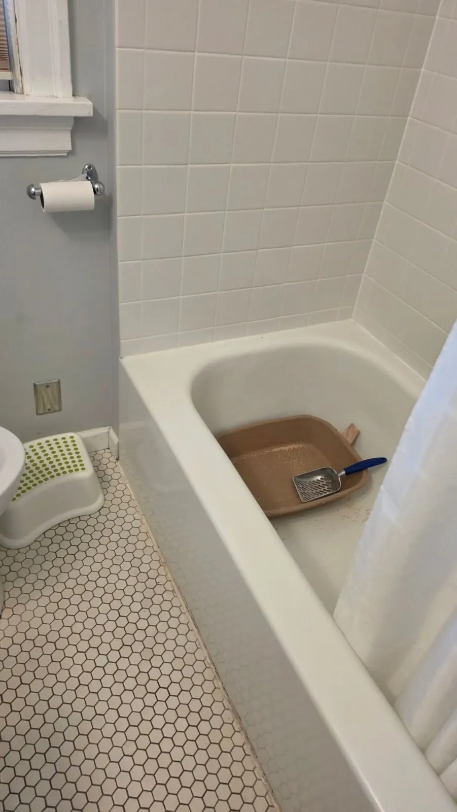 After — House Cleaning in Portland, OR — August 2026