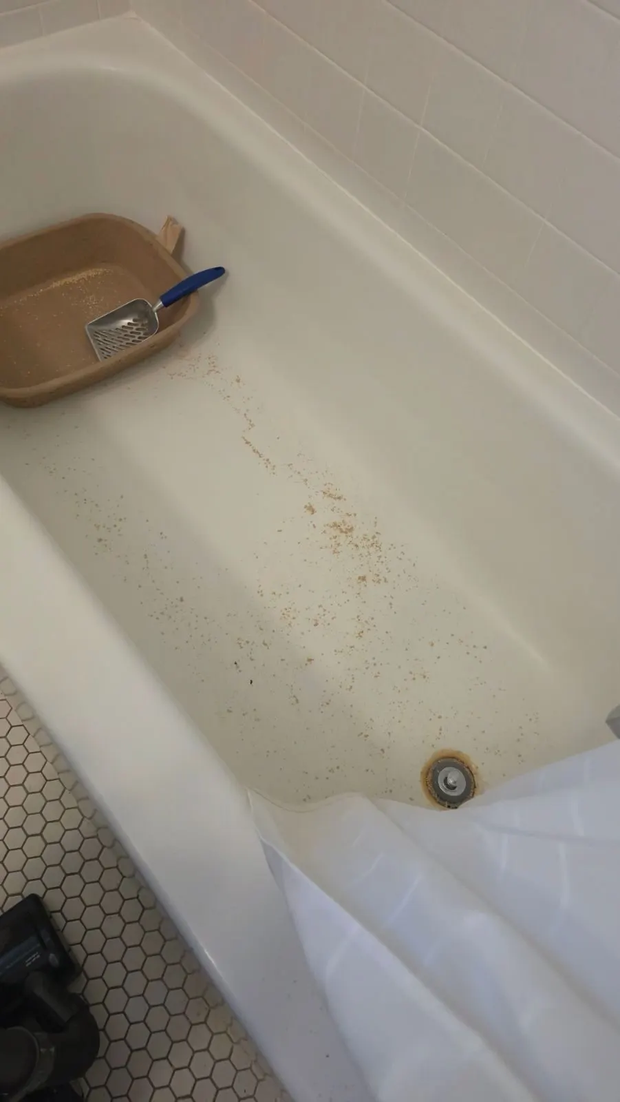 Before — House Cleaning in Portland, OR — August 2026