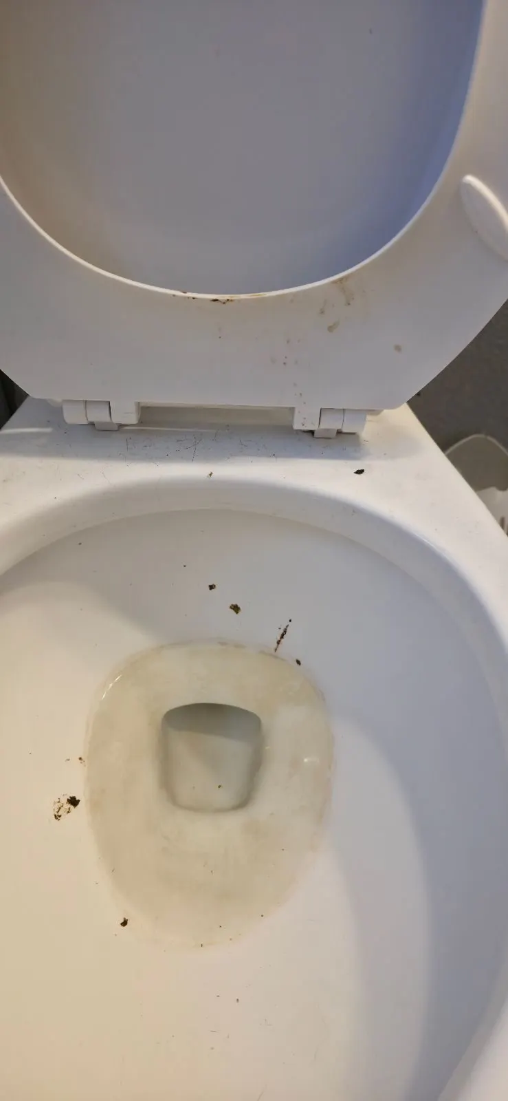 Before — House Cleaning in Rancho Cordova, CA — August 2026