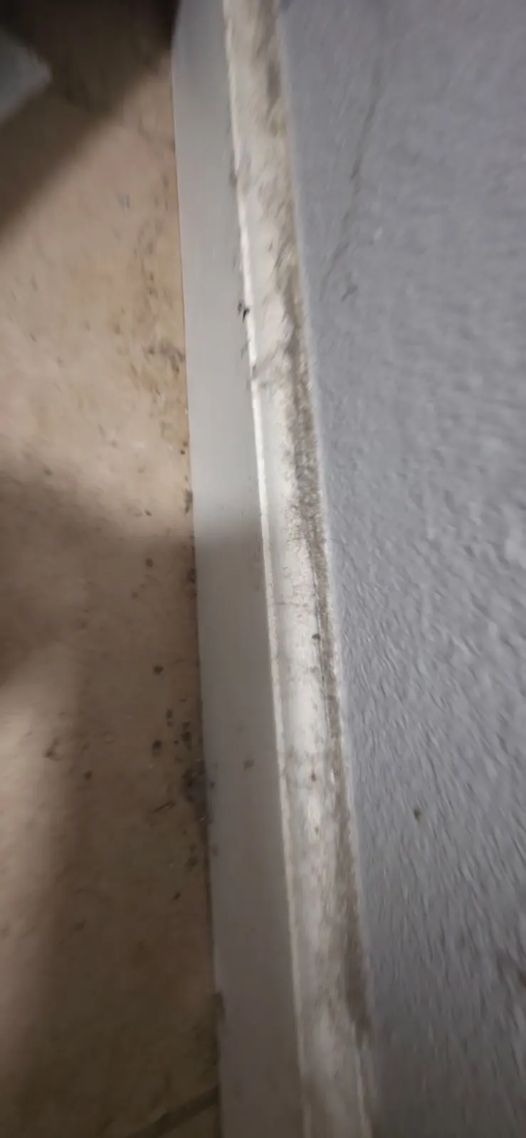 Before — House Cleaning in Rancho Cordova, CA — August 2026