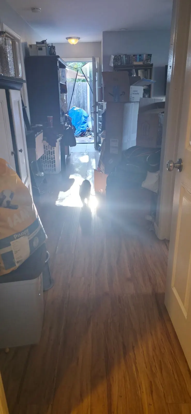 After — House Cleaning in Rancho Cordova, CA — August 2026
