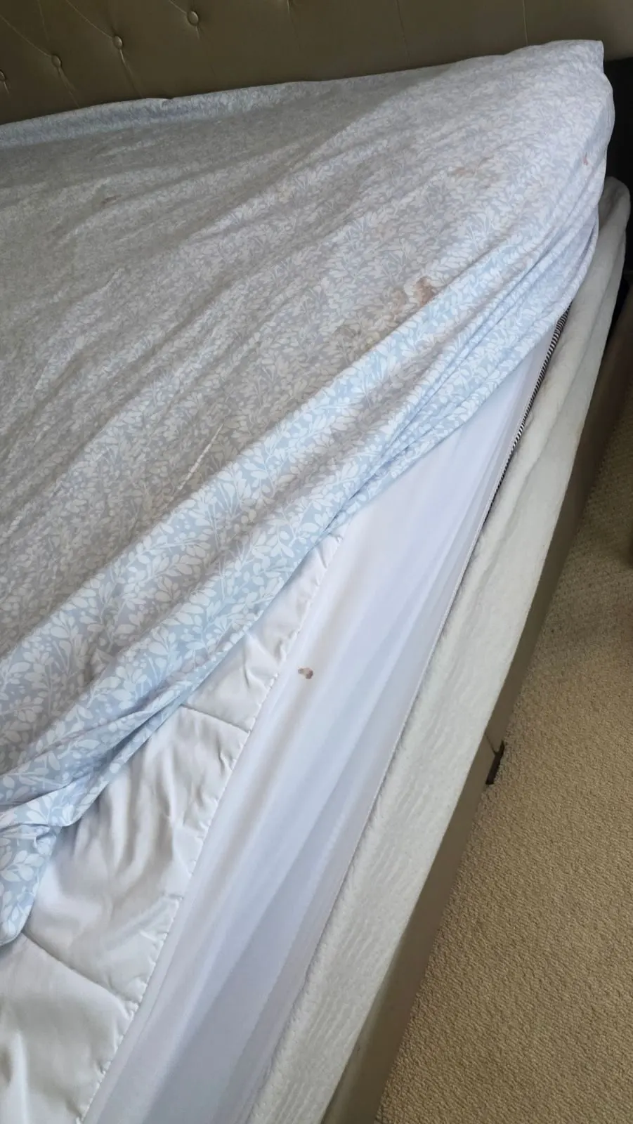 Before — House Cleaning in Clackamas, OR — August 2026