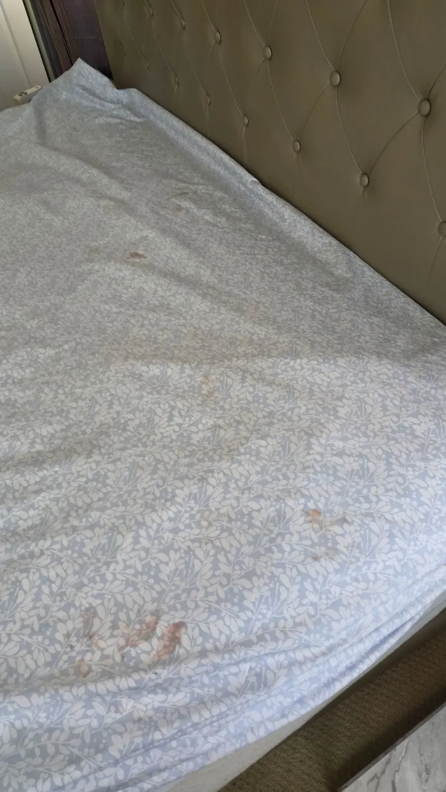 Before — House Cleaning in Clackamas, OR — August 2026